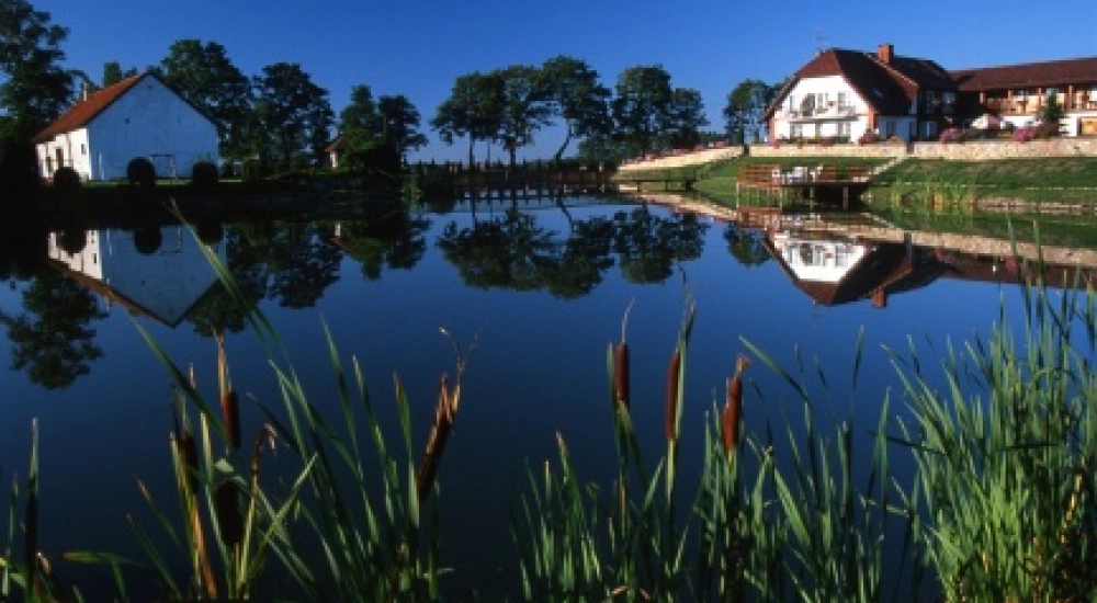 Nature watching in Biebrza National Park
