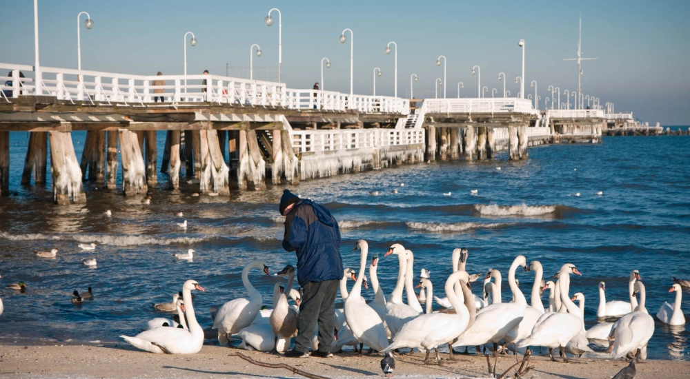 Gdansk - Oliwa city tour