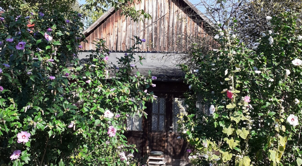 All treasures of North-Eastern  Poland - history and wildness...