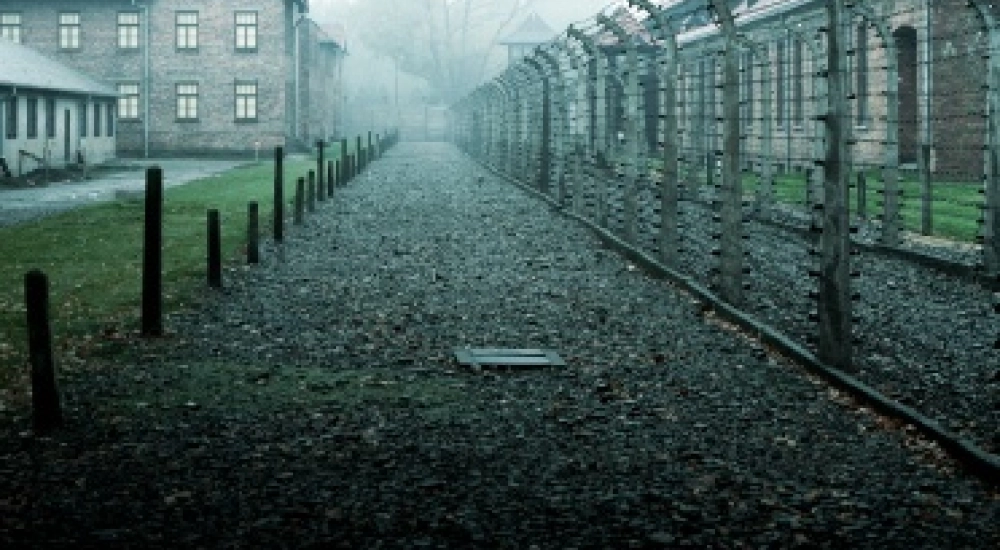 Study tour in Krakow region