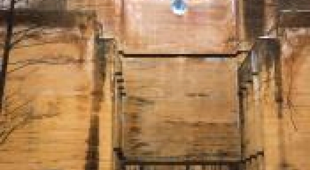 Tour to Wolf's Lair and Mamerki