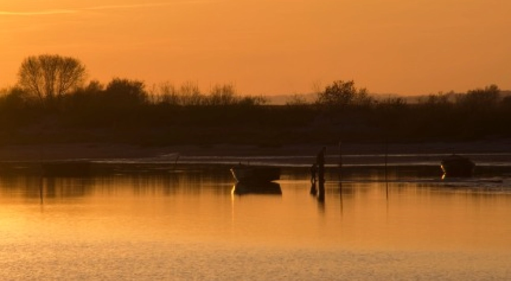 Nature watching in Biebrza National Park