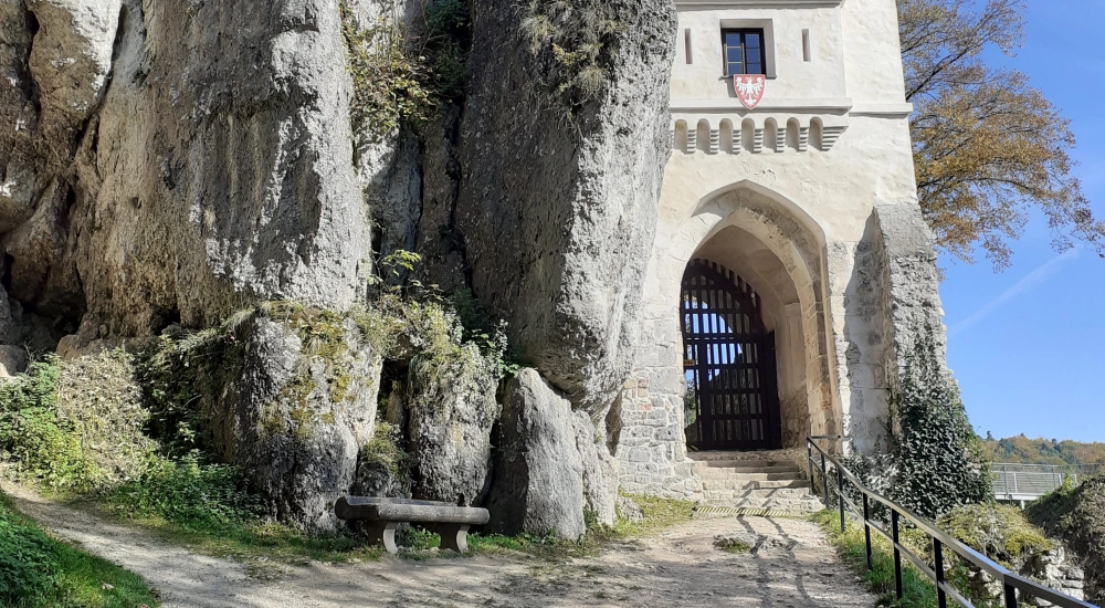 Tailor - made tour nr 3 - organized in July 2009