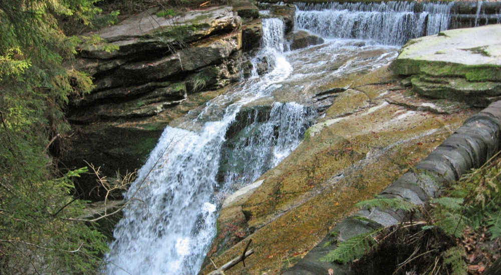 The Malopolska express